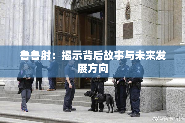 鲁鲁射：揭示背后故事与未来发展方向