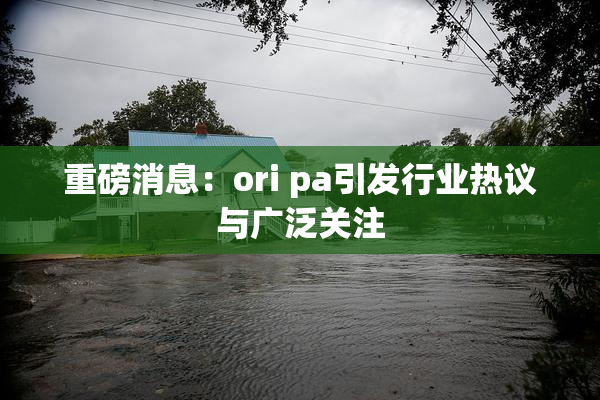 重磅消息：ori pa引发行业热议与广泛关注