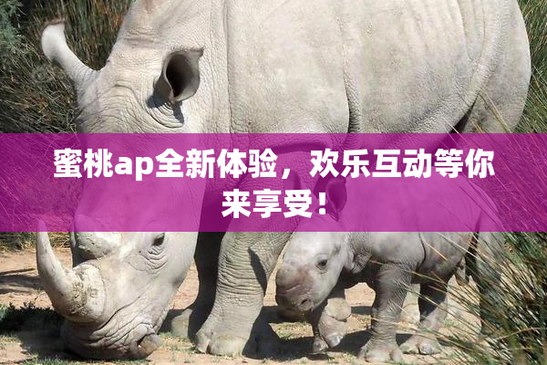 蜜桃ap全新体验，欢乐互动等你来享受！
