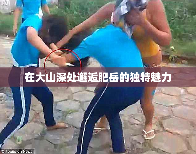 在大山深处邂逅肥岳的独特魅力