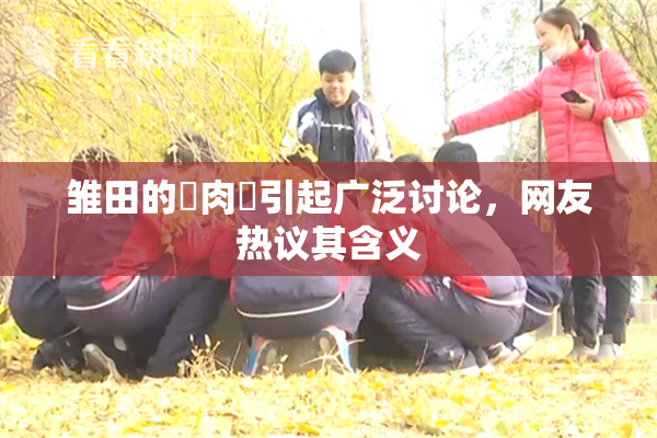 雏田的婬肉泬引起广泛讨论，网友热议其含义