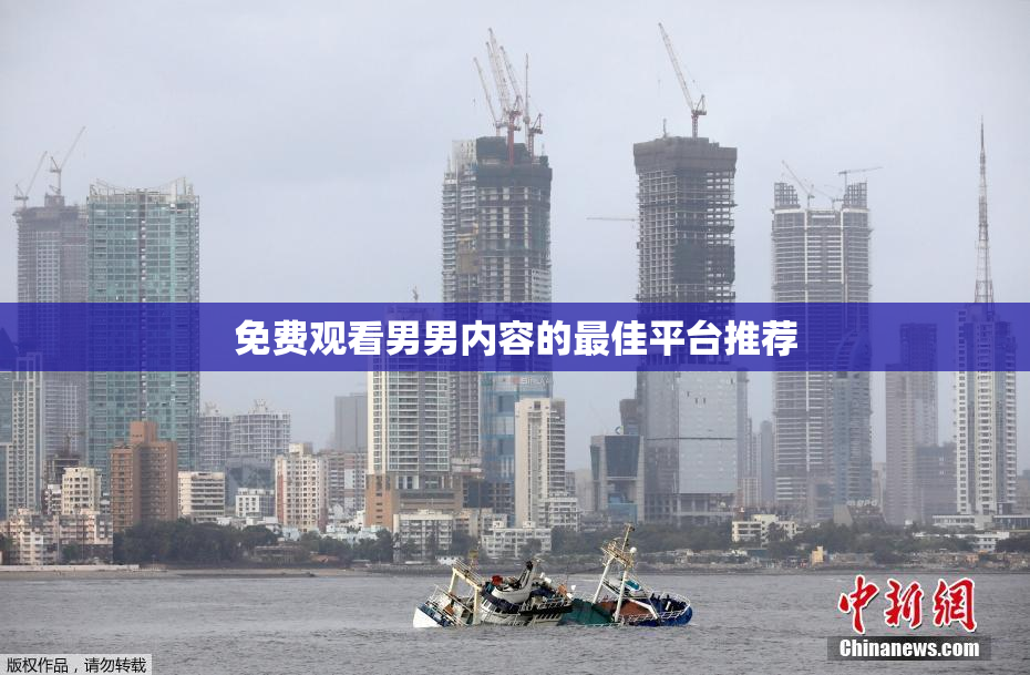 免费观看男男内容的最佳平台推荐