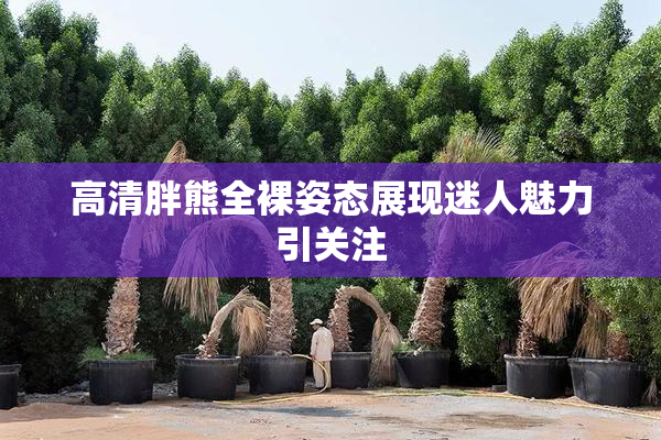 高清胖熊全裸姿态展现迷人魅力引关注