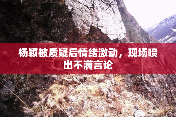 杨颖被质疑后情绪激动，现场喷出不满言论
