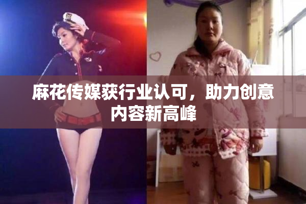 麻花传媒获行业认可，助力创意内容新高峰