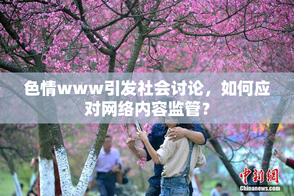 色情www引发社会讨论，如何应对网络内容监管？