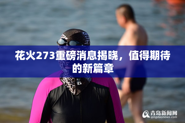 花火273重磅消息揭晓，值得期待的新篇章