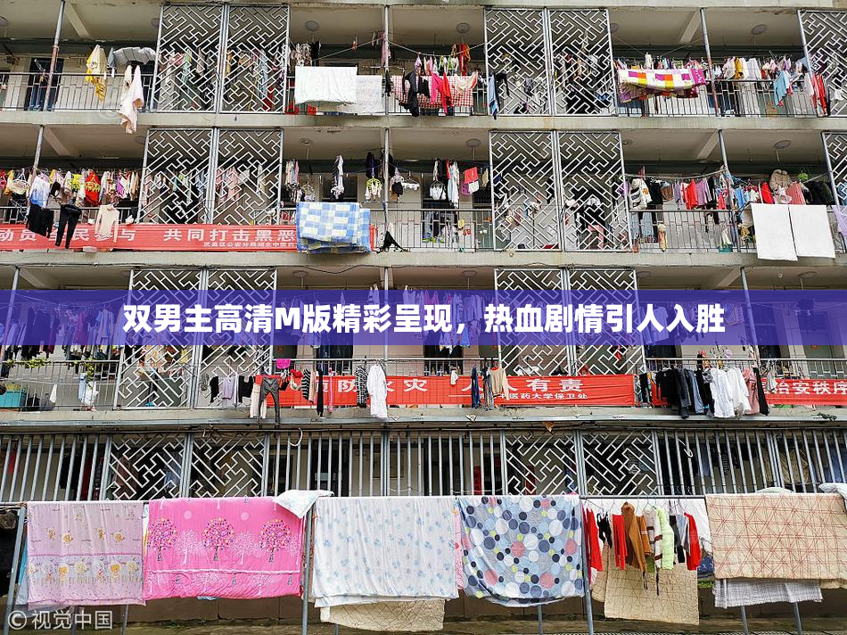 双男主高清M版精彩呈现，热血剧情引人入胜