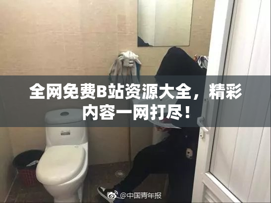 全网免费B站资源大全，精彩内容一网打尽！