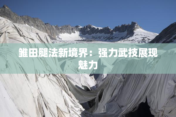雏田腿法新境界：强力武技展现魅力
