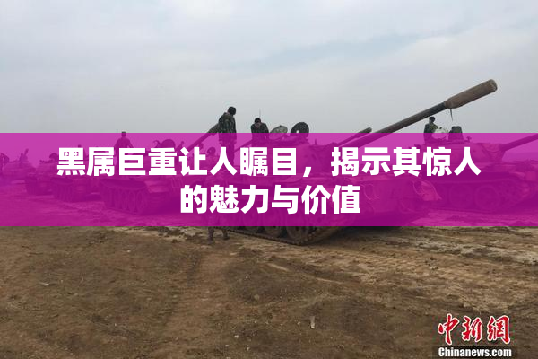 黑属巨重让人瞩目，揭示其惊人的魅力与价值