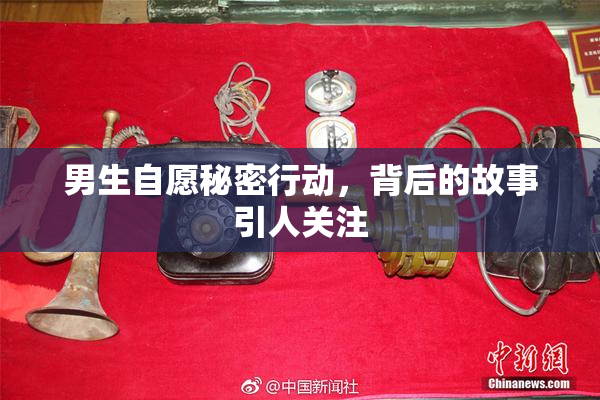 男生自愿秘密行动，背后的故事引人关注