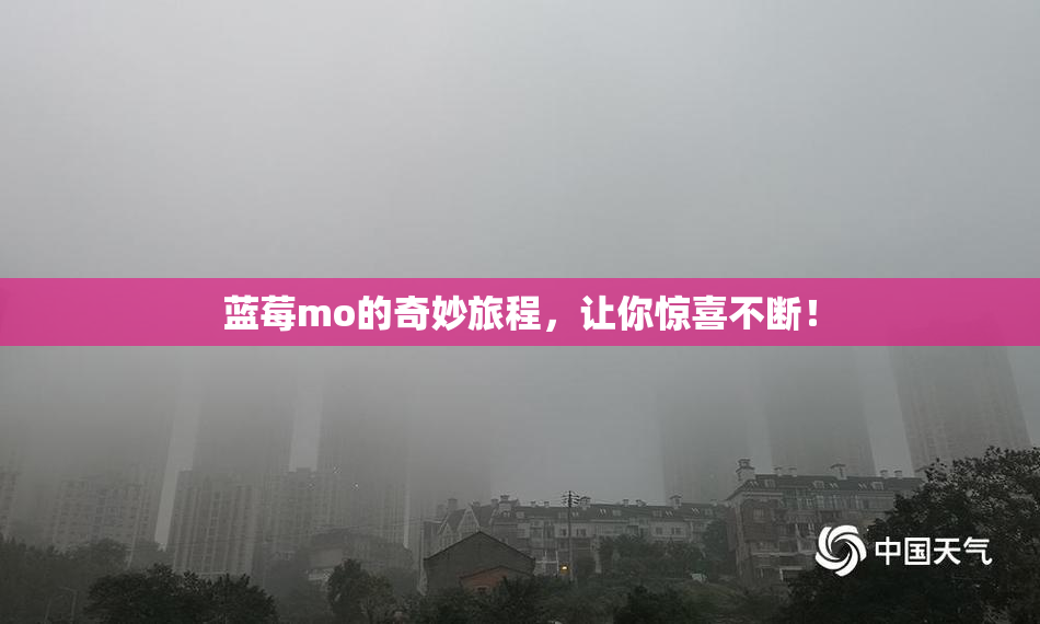 蓝莓mo的奇妙旅程，让你惊喜不断！