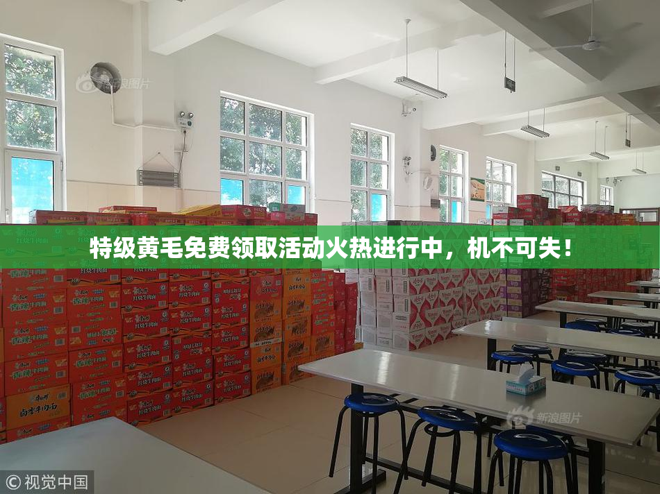 特级黄毛免费领取活动火热进行中，机不可失！