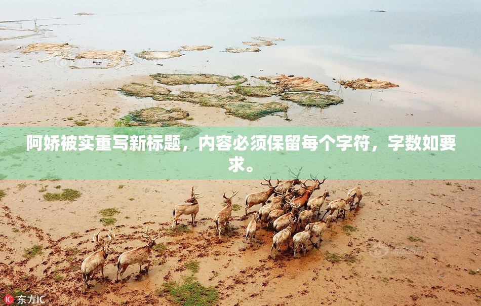 阿娇被实重写新标题，内容必须保留每个字符，字数如要求。