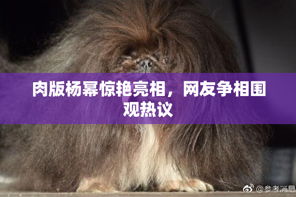肉版杨幂惊艳亮相，网友争相围观热议