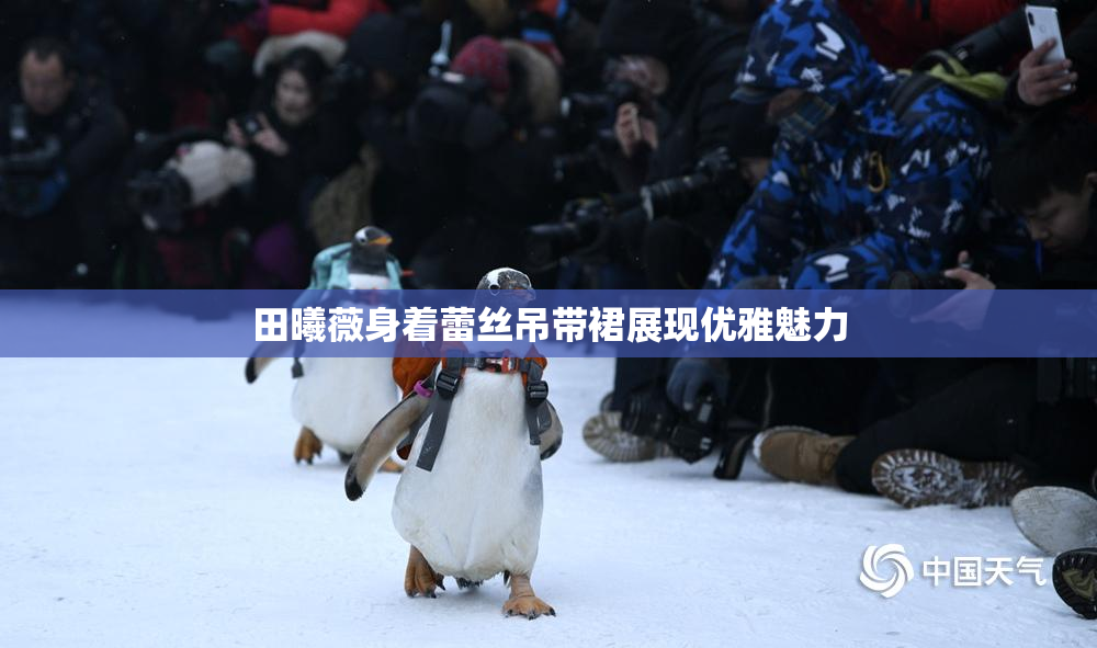 田曦薇身着蕾丝吊带裙展现优雅魅力