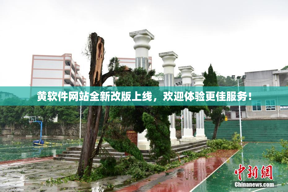 黄软件网站全新改版上线，欢迎体验更佳服务！