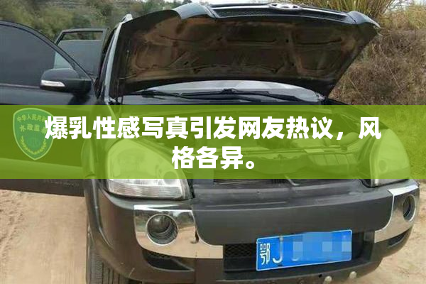 爆乳性感写真引发网友热议，风格各异。