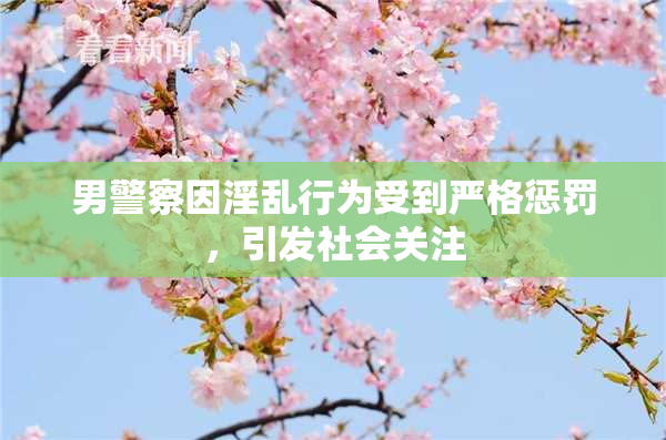 男警察因淫乱行为受到严格惩罚，引发社会关注