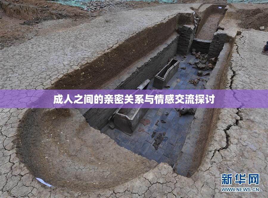 成人之间的亲密关系与情感交流探讨