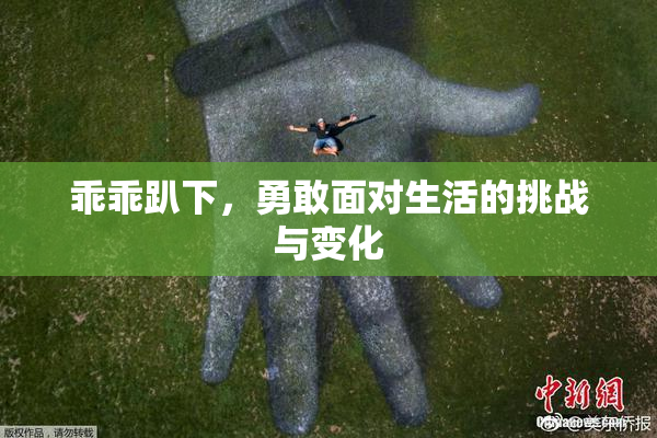 乖乖趴下，勇敢面对生活的挑战与变化
