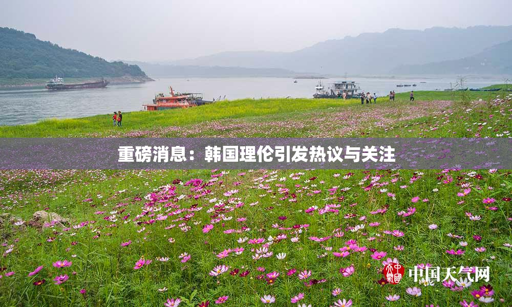 重磅消息：韩国理伦引发热议与关注