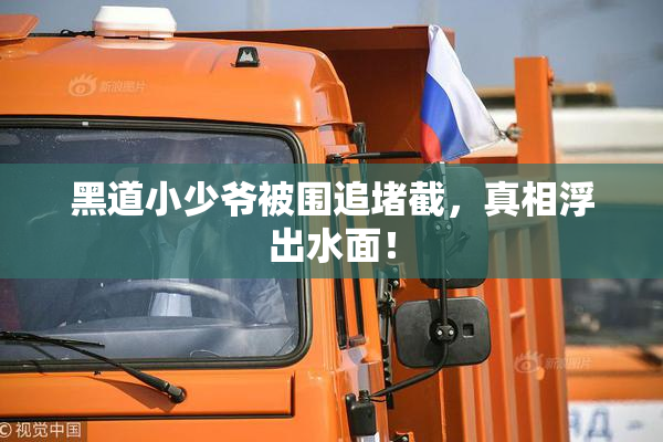 黑道小少爷被围追堵截，真相浮出水面！