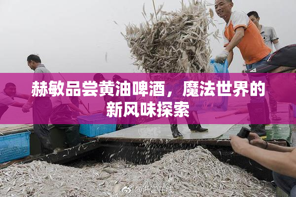 赫敏品尝黄油啤酒，魔法世界的新风味探索