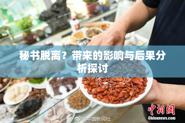 秘书脱离？带来的影响与后果分析探讨