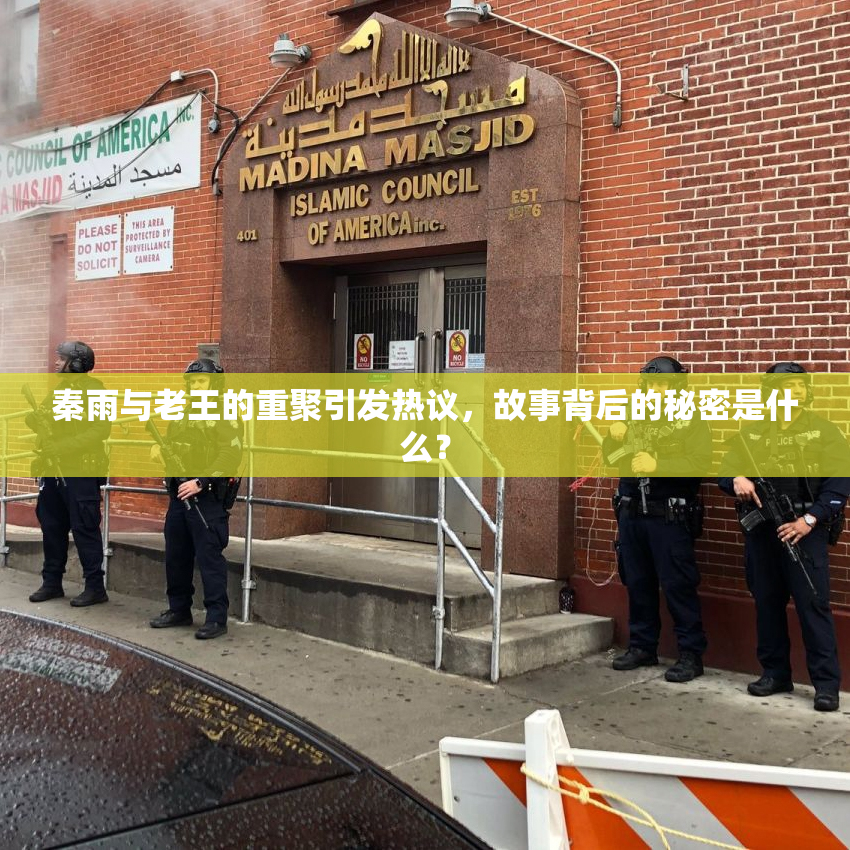 秦雨与老王的重聚引发热议，故事背后的秘密是什么？