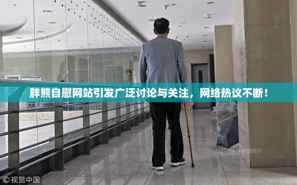 胖熊自慰网站引发广泛讨论与关注，网络热议不断！