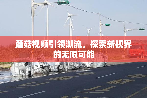蘑菇视频引领潮流，探索新视界的无限可能