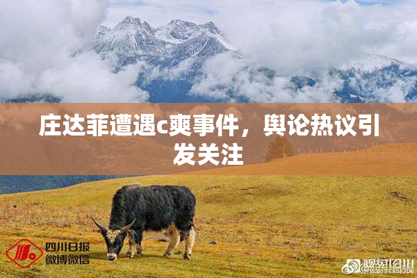 庄达菲遭遇c爽事件，舆论热议引发关注