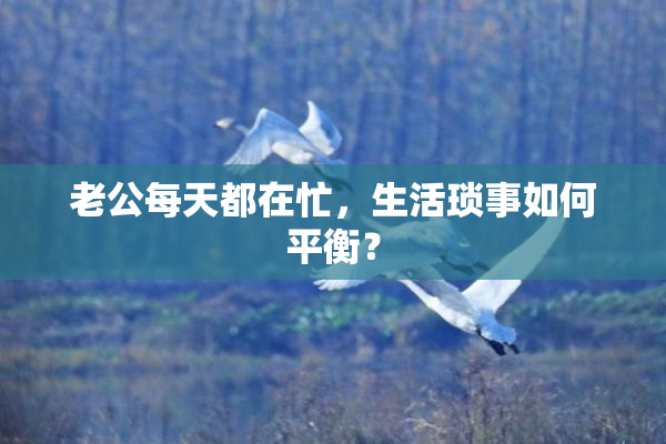 老公每天都在忙，生活琐事如何平衡？