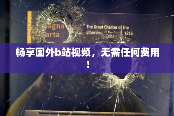 畅享国外b站视频，无需任何费用！