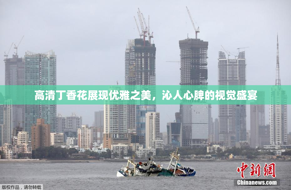 高清丁香花展现优雅之美，沁人心脾的视觉盛宴