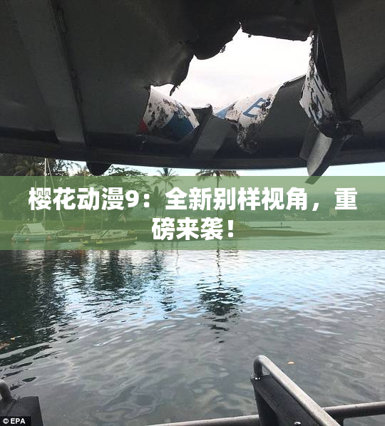 樱花动漫9：全新别样视角，重磅来袭！