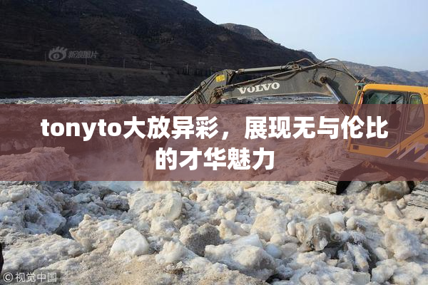 tonyto大放异彩，展现无与伦比的才华魅力