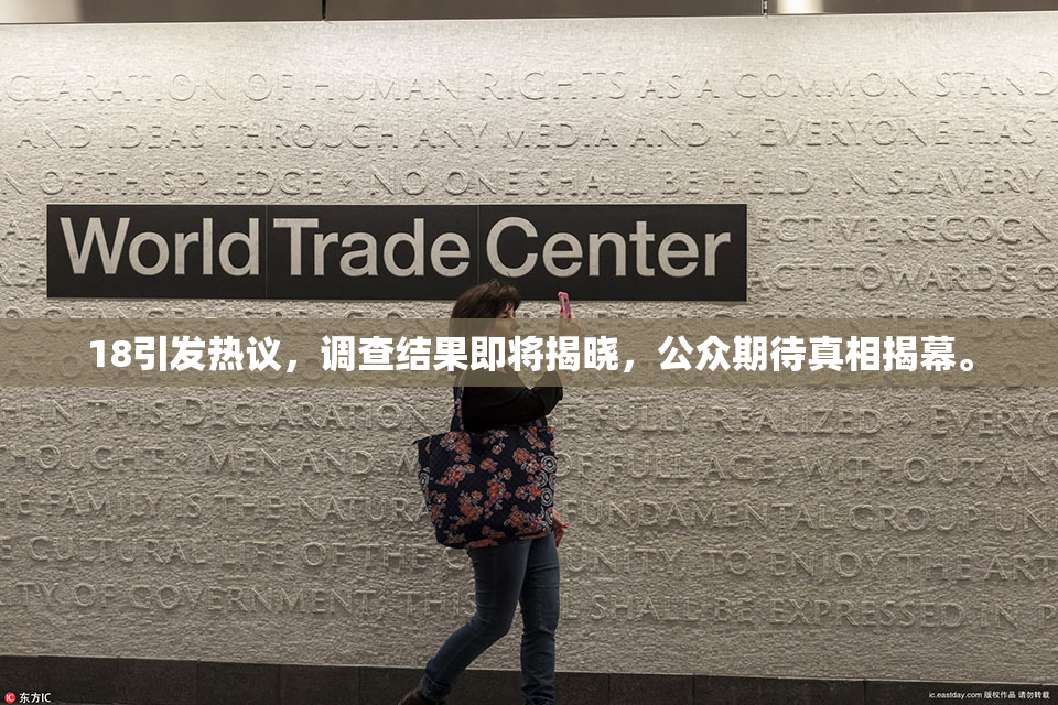 18引发热议，调查结果即将揭晓，公众期待真相揭幕。