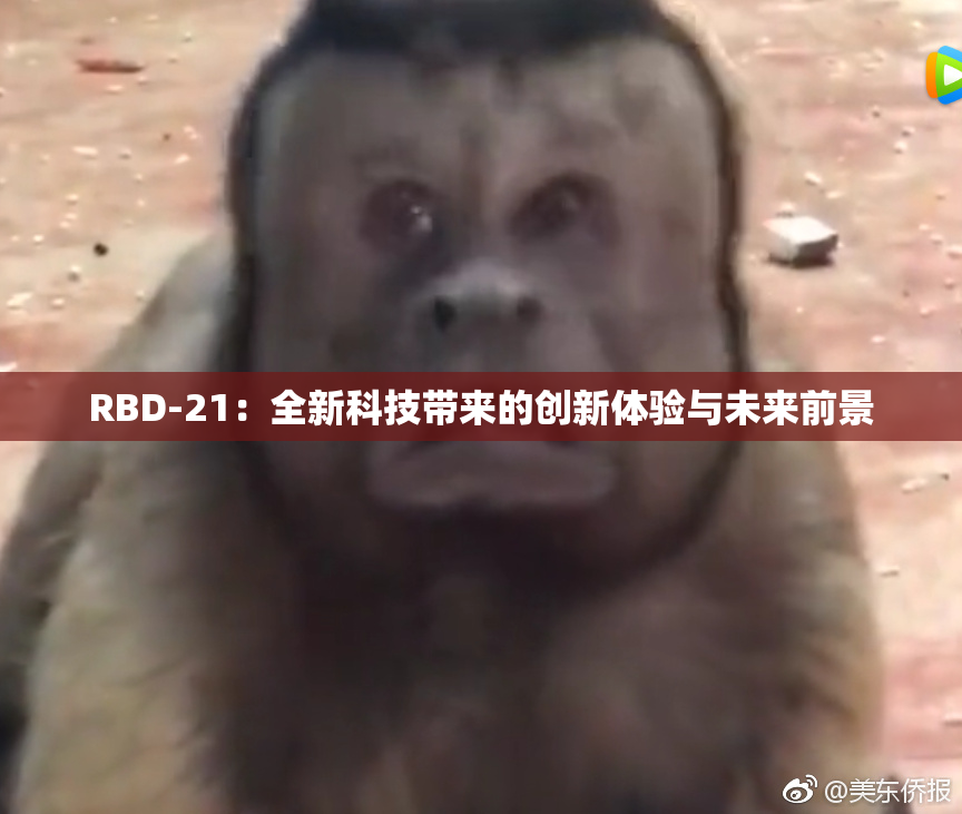 RBD-21：全新科技带来的创新体验与未来前景