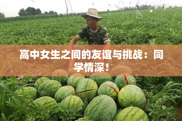 高中女生之间的友谊与挑战：同学情深！