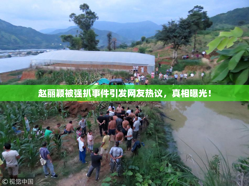 赵丽颖被强扒事件引发网友热议，真相曝光！