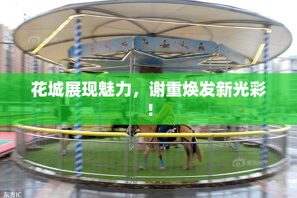 花城展现魅力，谢重焕发新光彩！