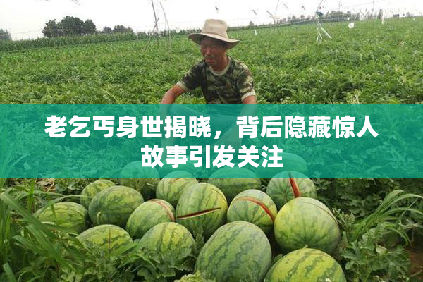 老乞丐身世揭晓，背后隐藏惊人故事引发关注
