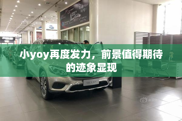 小yoy再度发力，前景值得期待的迹象显现
