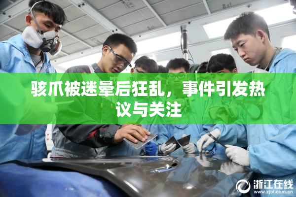 骇爪被迷晕后狂乱，事件引发热议与关注