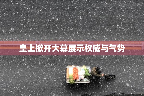 皇上掀开大幕展示权威与气势