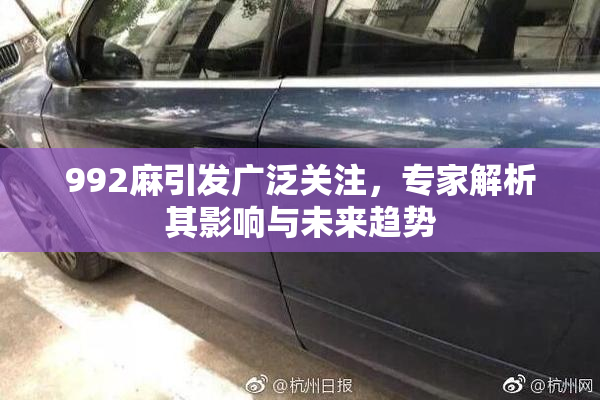 992麻引发广泛关注，专家解析其影响与未来趋势