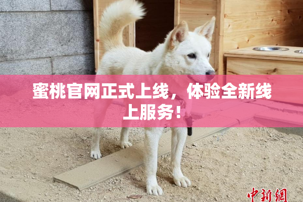 蜜桃官网正式上线，体验全新线上服务！